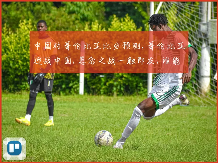 中国对哥伦比亚比分预测,哥伦比亚迎战中国,悬念之战一触即发,谁能笑到最后