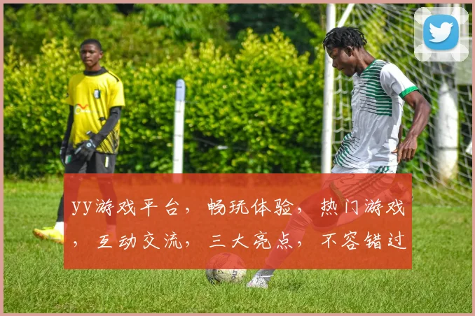 yy游戏平台，畅玩体验，热门游戏，互动交流，三大亮点，不容错过