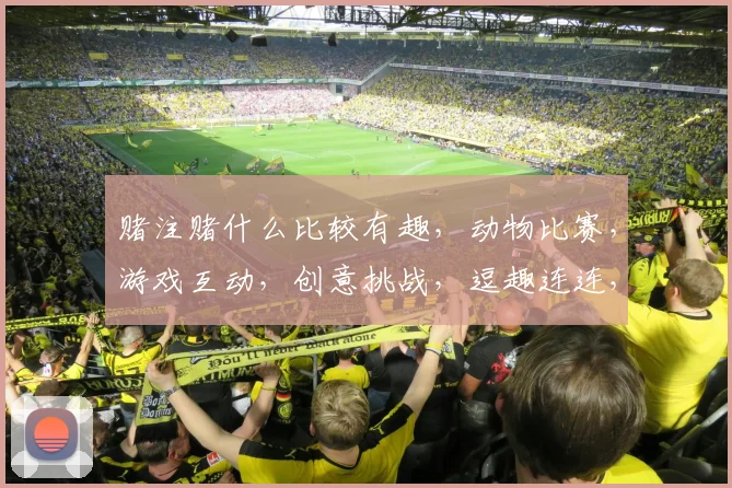 赌注赌什么比较有趣，动物比赛，游戏互动，创意挑战，逗趣连连，趣味无穷