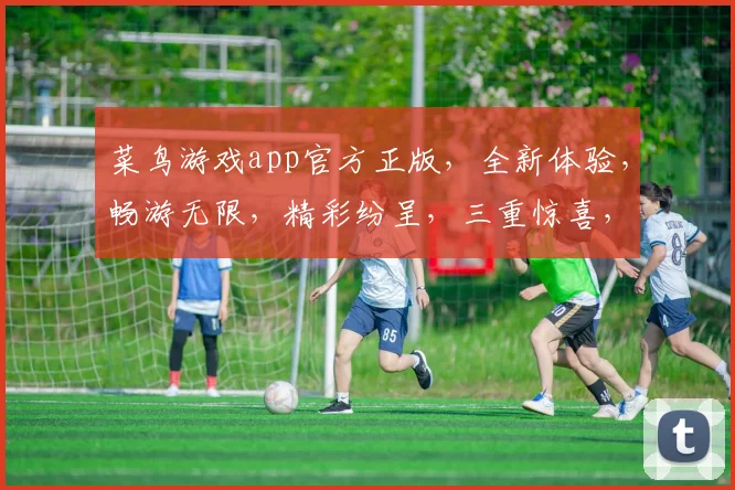 菜鸟游戏app官方正版，全新体验，畅游无限，精彩纷呈，三重惊喜，等你来战