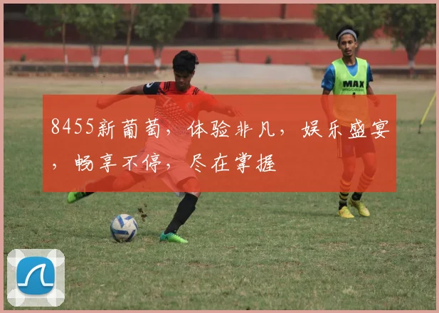 8455新葡萄，体验非凡，娱乐盛宴，畅享不停，尽在掌握