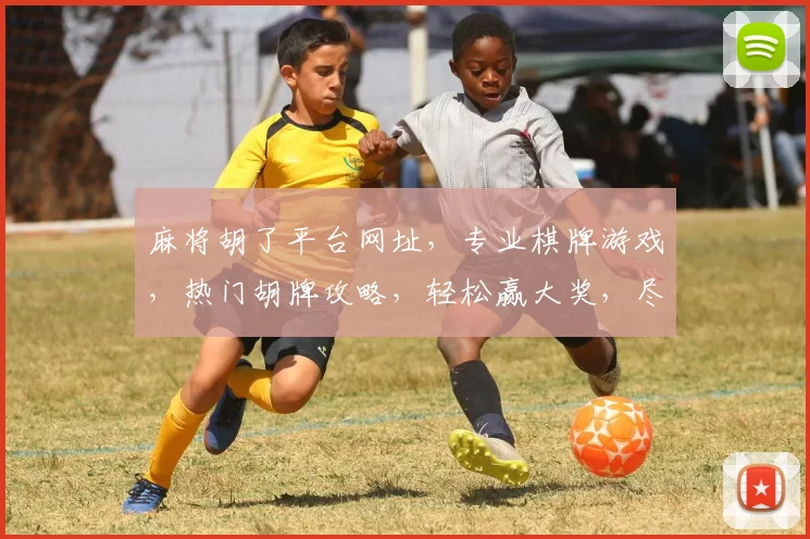 麻将胡了平台网址，专业棋牌游戏，热门胡牌攻略，轻松赢大奖，尽在网址逗逗逗