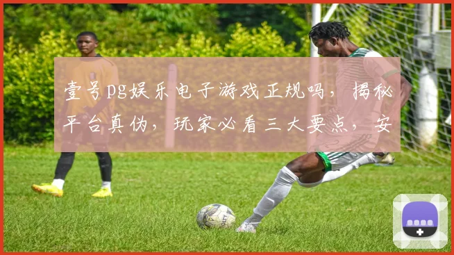 壹号pg娱乐电子游戏正规吗，揭秘平台真伪，玩家必看三大要点，安全可靠吗